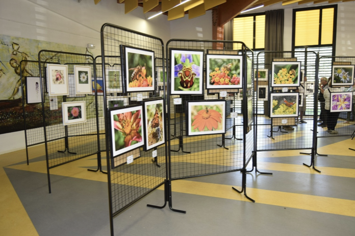 Reportage photo & Exposition anniversaire